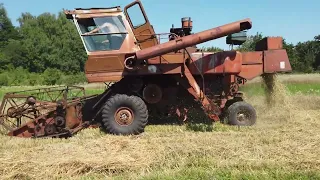 Скільки вкладень  а врожаю немає❗Порвало комбайн❌❗Поломка за поломкою❗❗ Жнивуєм на НИВА СК-5