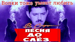 ВСЕ ПЛАКАЛИ! КОГДА СЛУШАЛИ!! #ВячеславСИДОРЕНКО #АркадийКОБЯКОВ