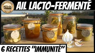 Ail lacto-fermenté, 6 recettes rapides et faciles pour booster l'Immunité