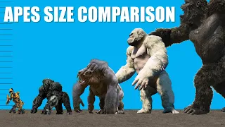 Movie Apes ANIMATED Size Comparison
