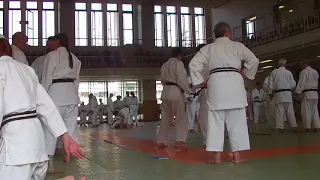 Etude du KODOKAN GOSHIN JUTSU stage KODOKAN 2018