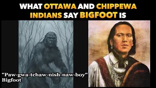 What Natives Say Bigfoot Is: History Of The Ottawa And Chippewa Indians Of Michigan By AJ Blackbird