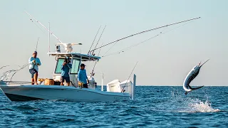 Unfathomed - Stuart SAILFISH and SNOOK