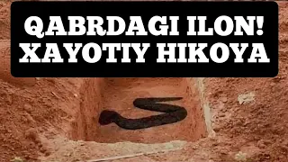 QABRDAGI QORA ILON | Xayotiy Voqea #Alloh_uchun_tarqating