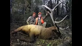 Father/Son Bull Elk Hunt on the Wasatch Unit