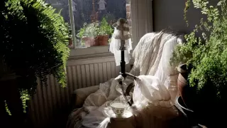 Unveiling Miss Havisham’s Wedding Dress - Lace - Andrea Galer