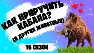 КАК ПРИРУЧИТЬ КАБАНА И ДРУГИХ ЖИВОТНЫХ В ФОРТНАЙТ? 🔥ЛУЧШИЙ СПОСОБ