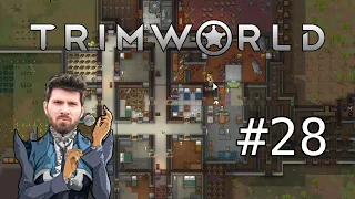 (T)RimWorld #28 mit Matteo