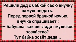 Как Дед с Бабкой Внучку Замуж Выдавали! Сборник Свежих Анекдотов! Юмор! Позитив!