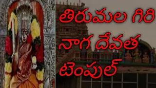 Naaga Devatha Temple/ Hyderabad traveller Richika ￼