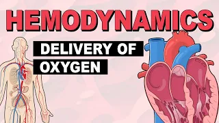 Delivery of Oxygen | Hemodynamics (Part 2)