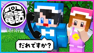 知らない人から電話がかかってくるマインクラフト【 マイクラ / Minecraft  】