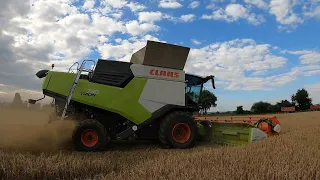 Claas Trion 730 Demo