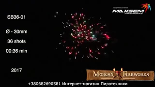 Салютная установка 36 выстрелов BLESSING (SB 36-01)