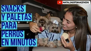 Snacks y paletas para perros en minutos- Tips by Natalia Ospina