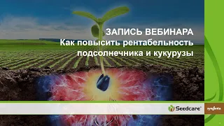 Как повысить рентабельность производства подсолнечника и кукурузы в сезоне 2021