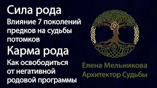 Сила рода. Влияние 7 поколений предков на судьбы потомков