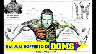 DOMS | Cause e rimedi