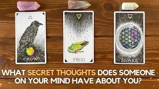 What Secret Thoughts Does Someone On Your Mind Have About You? ✨🤫 🤔✨ | Pick A Card