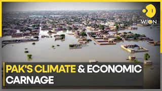 Flood-ravaged Pakistan has 'No Plan B' | WION Climate Tracker