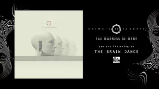 ANIMALS AS LEADERS - The Brain Dance