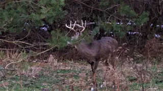 DEER HUNTING Season In Pennsylvania 2020 John's Rifle Season Part 1 WHITETAIL BUCK RUTTING ACTION!