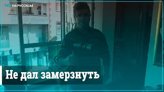 Житель Стамбула согрел феном промокшего под дождем голубя