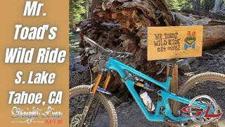 Mr. Toad's Wild Ride with Straight Line MTB