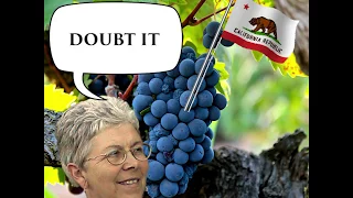 Carole Meredith (Davis, California 1996) | Grape Moments in Wine History