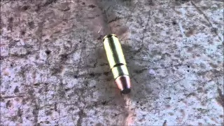 Cartridge Talk The 458 Socom With A 300 Grain JHP Bullet