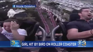 Watch: Young Girl Hit By Bird While On Roller Coaster In Australia