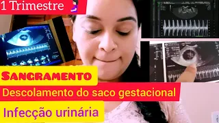 Diário de Gestante🤰🏻1 Trimestre- Descolamento do saco gestacional e infecção urinária|Daiane Mello