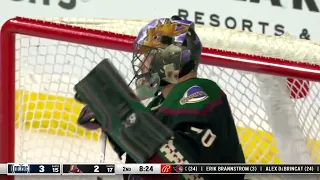 Karel Vejmelka's great save vs Oilers (3/27/23)