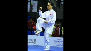 Chen Style Tai Ji Quan - Wang Er Ping 王二平 (1st World Taijiquan Championships, Chengdu 2014)