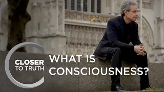 What is Consciousness? | Episode 1302 | Closer To Truth