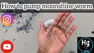 How to pump MOONSHINE worms(BROKEN ROAD)