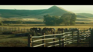 The Wild West - Cinematic Short Film - 4K