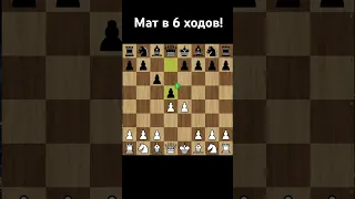 Мат в 6 ходов #chess