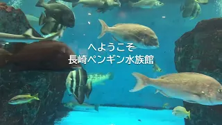 長崎ペンギン水族館