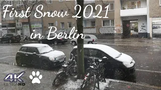 [ 4K ] First Snow 2021I Berlin I Open Window Soundscape I Germany