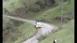 Rallye du Lozère 2010 Constanty/Oziol