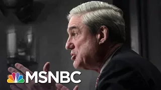 Donald Trump-Russia Indictments Show Mueller Is 'Ruthlessly Efficient' | The 11th Hour | MSNBC