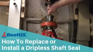 How to Replace or Install a Dripless Shaft Seal/Stuffing Box | BoatUS