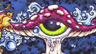 Infected Mushroom - Illuminaughty - - - [[Full Visual Trippy Videos Set]] - - - [GetAFix]