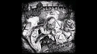 Innards - Enlightenment Through Hate