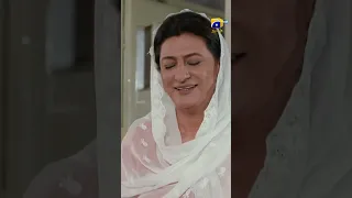 Shareef Larki Yah Phir 😳😳 #𝐤𝐚𝐥𝐚𝐧𝐤 #𝐬𝐡𝐨𝐫𝐭𝐬 #drama #harpalgeo