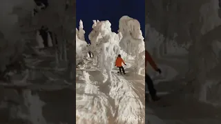 snowboarding in the forest/на сноуборде в лесу