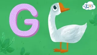 Learn the Letter G | Alphabet for Kids | Kids Academy