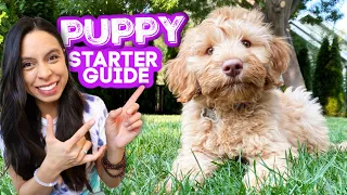 FIRST DAYS WITH NEW PUPPY! 🐶 Everything you need to know and do