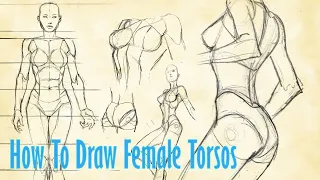 how to draw female torsos